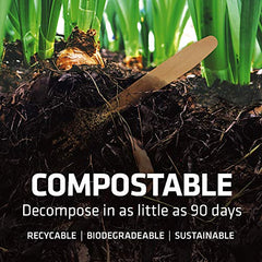 Cutlery Set 100 Spoons 6.5in Compostable Bamboo